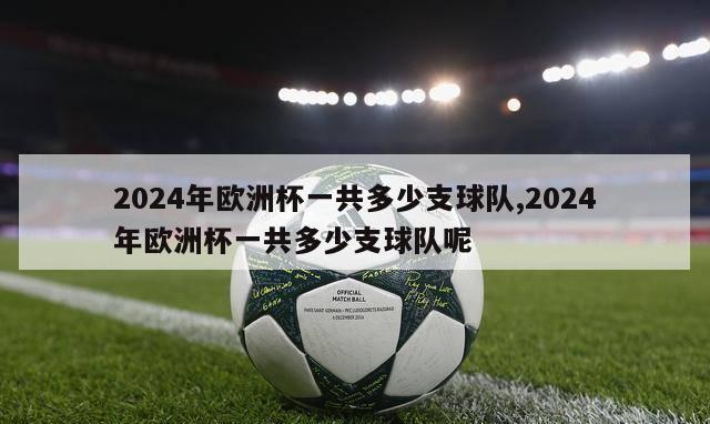 2024年欧洲杯一共多少支球队,2024年欧洲杯一共多少支球队呢