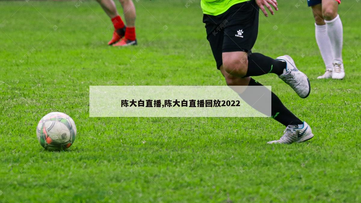 陈大白直播,陈大白直播回放2022-图1