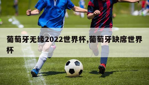 葡萄牙无缘2022世界杯,葡萄牙缺席世界杯-图1