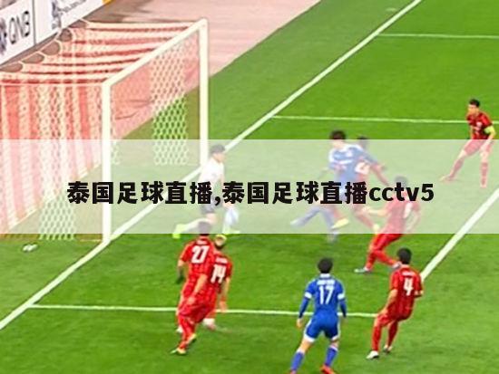 泰国足球直播,泰国足球直播cctv5-图1