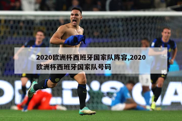 2020欧洲杯西班牙国家队阵容,2020欧洲杯西班牙国家队号码-图1