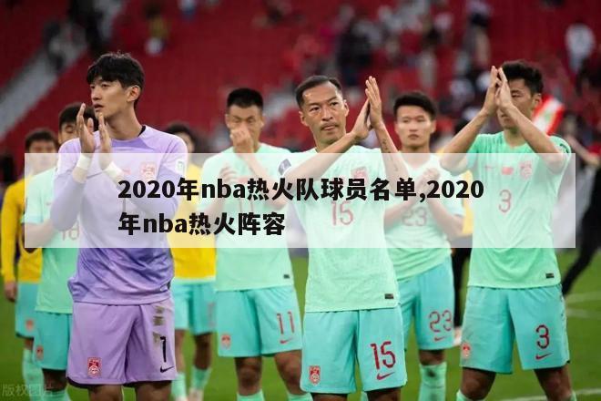 2020年nba热火队球员名单,2020年nba热火阵容-图1