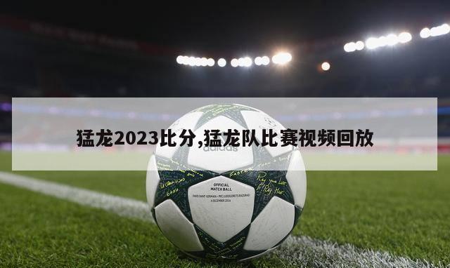 猛龙2023比分,猛龙队比赛视频回放-图1