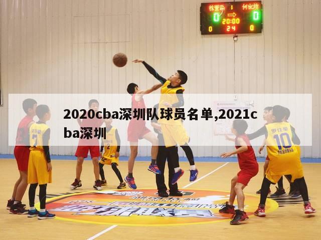 2020cba深圳队球员名单,2021cba深圳-图1