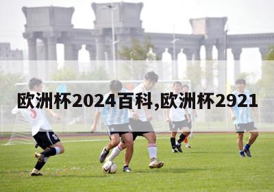 欧洲杯2024百科,欧洲杯2921-图1