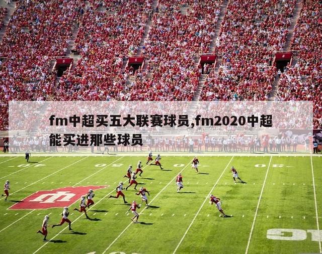 fm中超买五大联赛球员,fm2020中超能买进那些球员-图1