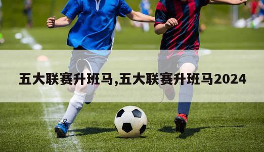 五大联赛升班马,五大联赛升班马2024-图1