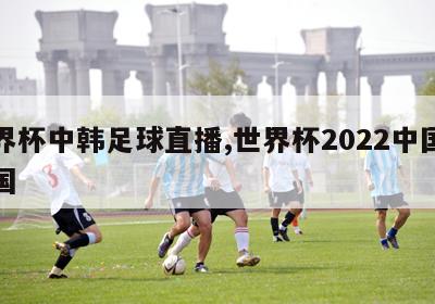 世界杯中韩足球直播,世界杯2022中国对韩国-图1