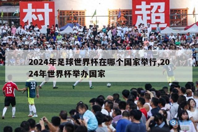 2024年足球世界杯在哪个国家举行,2024年世界杯举办国家-图1