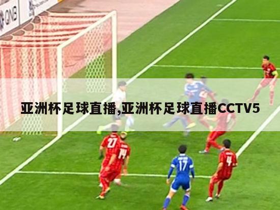 亚洲杯足球直播,亚洲杯足球直播CCTV5-图1