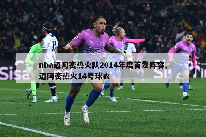 nba迈阿密热火队2014年度首发阵容,迈阿密热火14号球衣