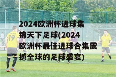 2024欧洲杯进球集锦天下足球(2024欧洲杯最佳进球合集震撼全球的足球盛宴)-图1