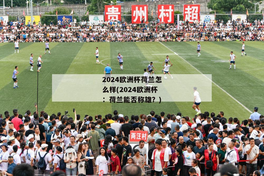 2024欧洲杯荷兰怎么样(2024欧洲杯：荷兰能否称雄？)-图1